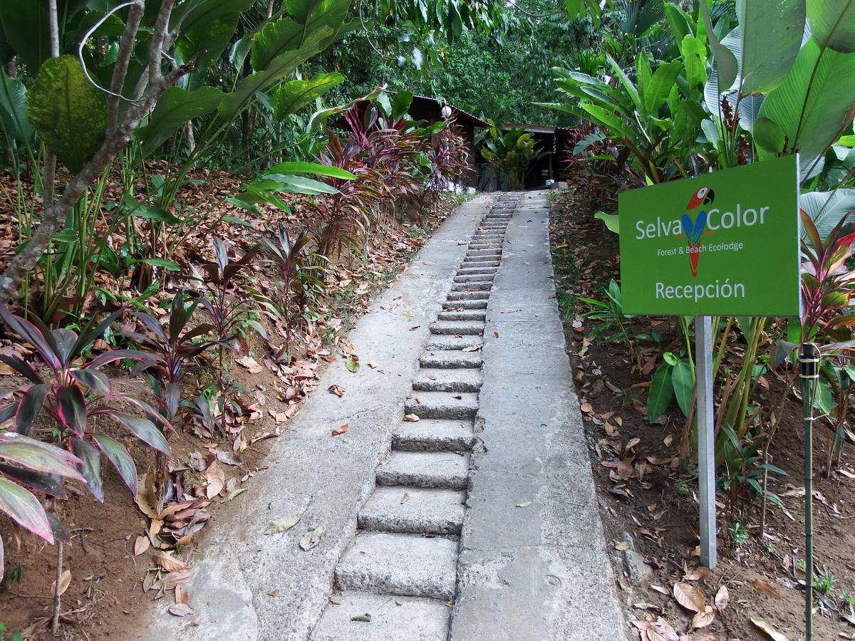 Selva Color - Forest & Beach Ecolodge Quebrada Ganado Bagian luar foto