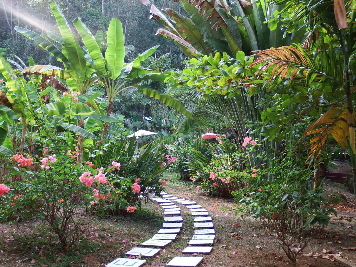 Selva Color - Forest & Beach Ecolodge Quebrada Ganado Bagian luar foto