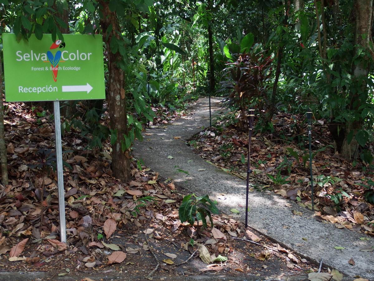 Selva Color - Forest & Beach Ecolodge Quebrada Ganado Bagian luar foto