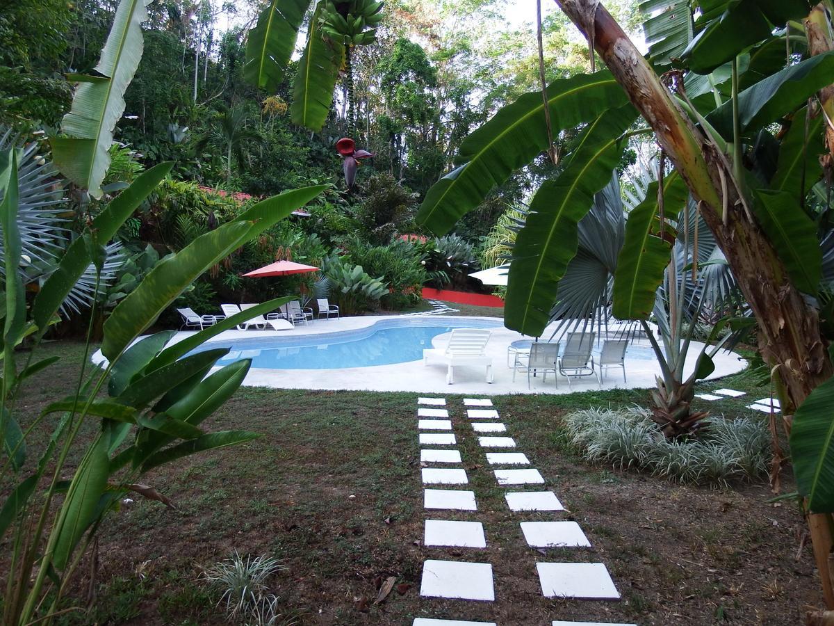 Selva Color - Forest & Beach Ecolodge Quebrada Ganado Bagian luar foto